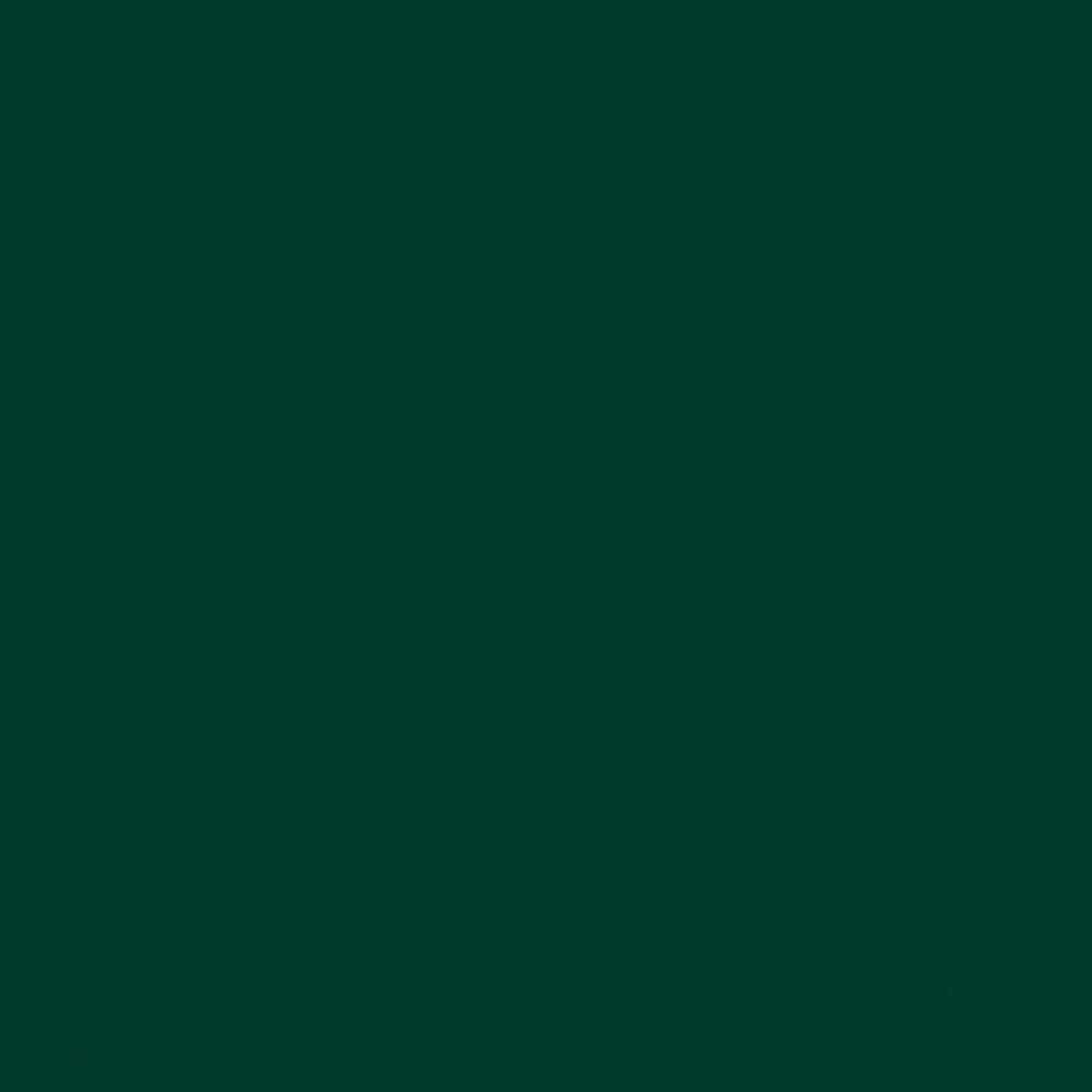 Oracal 970RA Gloss Fir-Green (622)