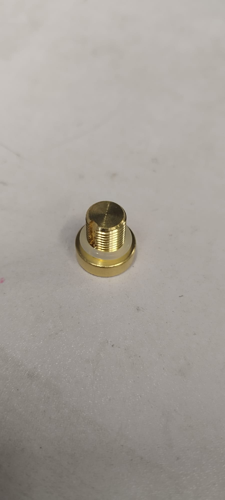 Brass bleed screw