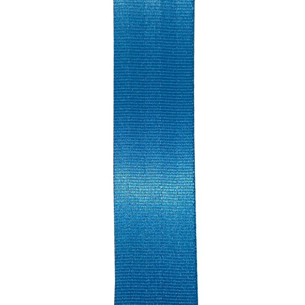 Ionica Blue Replacement Seatbelt
