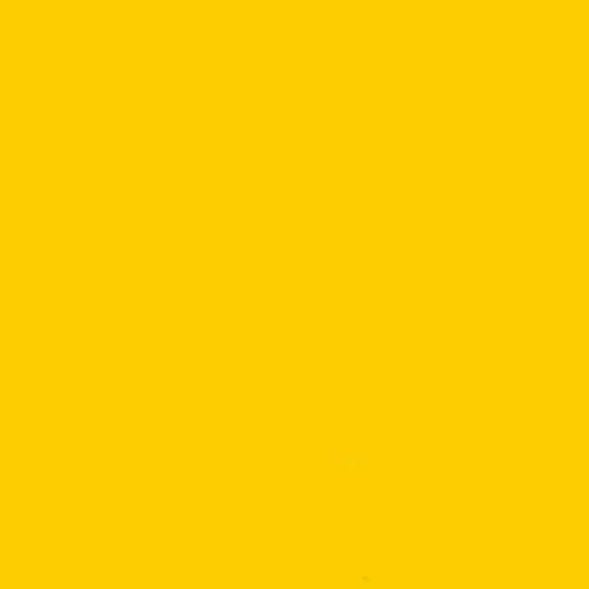 Oracal 970RA Gloss Yellow (F238)