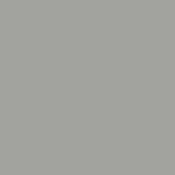 Oracal 970RA Gloss Ice Grey (724)