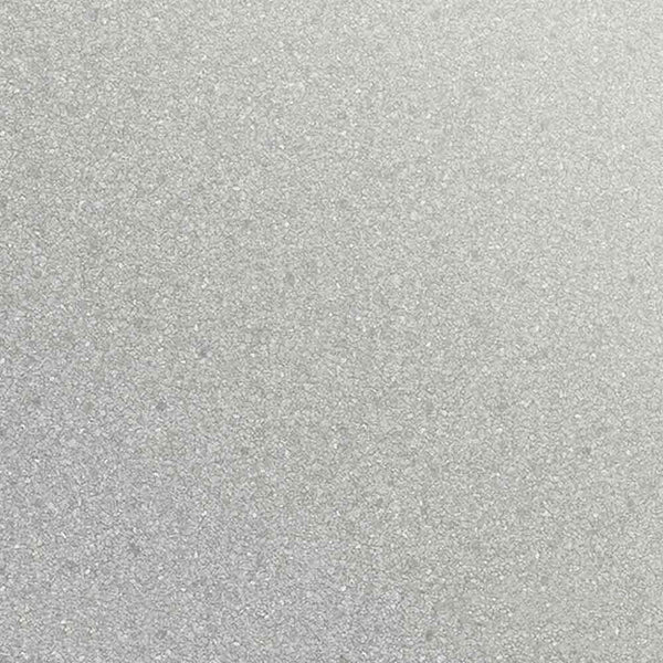 Oracal 970RA Gloss Metallic Silver Lake (904)
