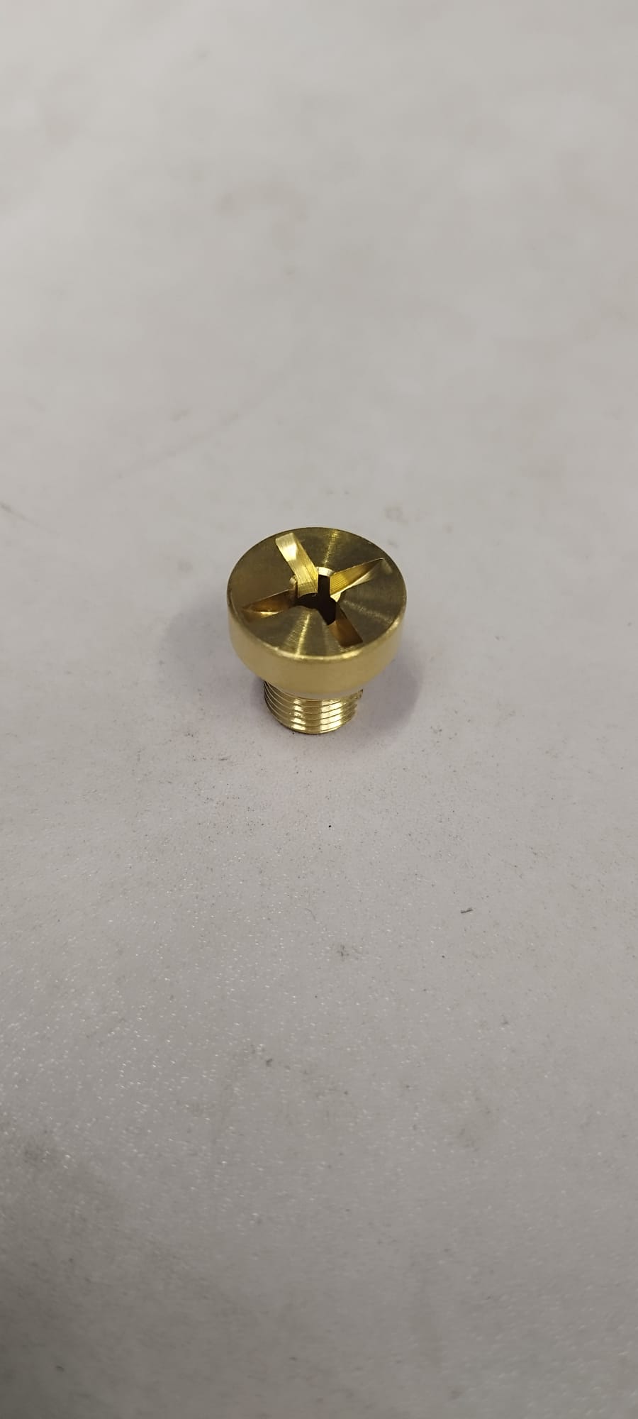 Brass bleed screw